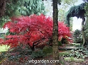 wbgarden autumn 8